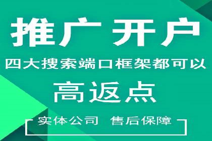 搜索引擎营销：sem竞价账户运营实战案例